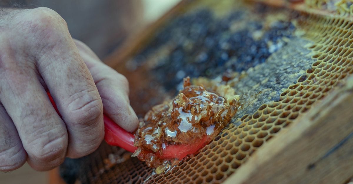 Local Honey
