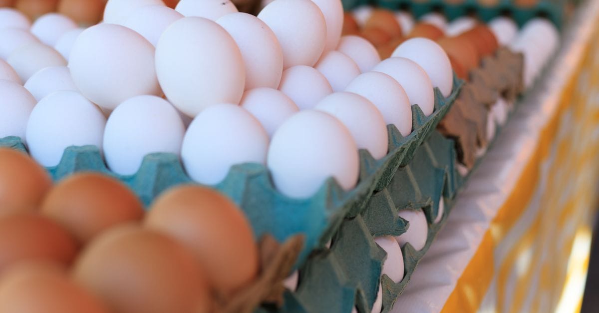 Farm-Fresh Eggs & Dairy Products